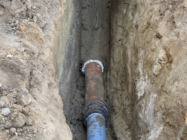 Best Basement water damage restoration  in Lake Waynoka, OH