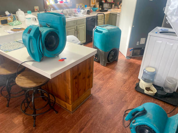 Best Professional water damage repair  in Lake Waynoka, OH