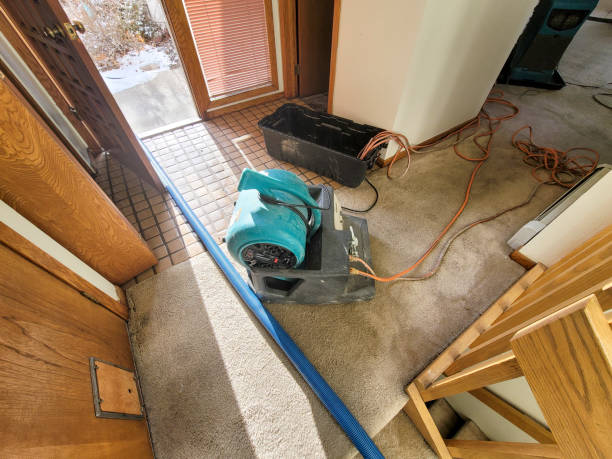 Best Local water damage restoration  in Lake Waynoka, OH