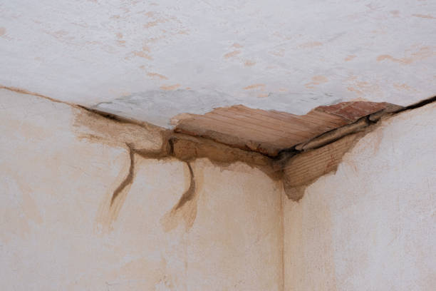 Best Flooded house restoration  in Lake Waynoka, OH