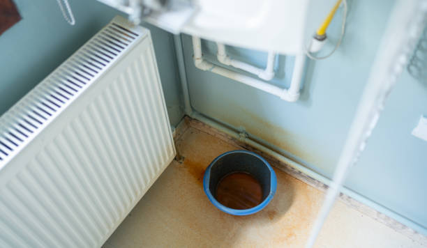 Best Flood damage cleanup  in Lake Waynoka, OH