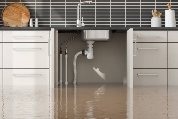 Best 24-hour water damage restoration  in Lake Waynoka, OH