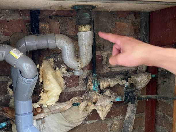 Best Flood damage cleanup  in Lake Waynoka, OH