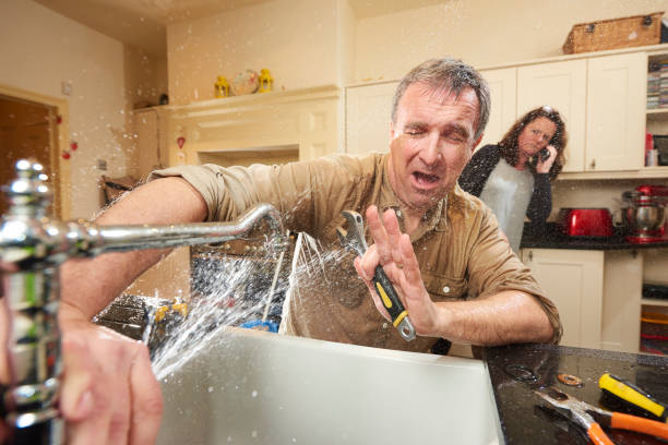 Best Carpet water damage restoration  in Lake Waynoka, OH